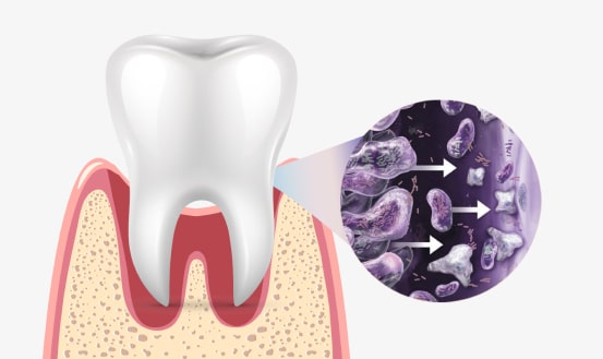 Oral Health and Overall Health